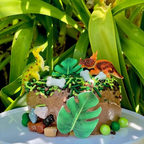 Dinosaur themed DIY cake baking kit