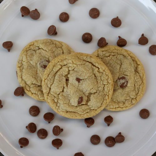 Chocolate Chip 2